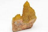 Sunshine Cactus Quartz Crystal Cluster - South Africa #212660-1